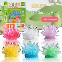 Kit de experimento científico de crecimiento de cristales DIY para estudiantes, interacción familiar divertida, experimento químico, principio de crecimiento de cristales - Multicolor - Ver 15