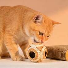 1件猫咪逗猫玩具，包含铃铛、剑麻球、羽毛棒和发声球，适合猫咪、小猫和雪貂玩耍娱乐。 - 彩色 - 查看 3