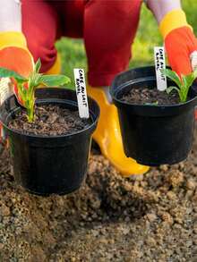 200个4英寸塑料植物标签，带记号笔，防水户外种子蔬菜园标签标记（白色） - A - 查看 1