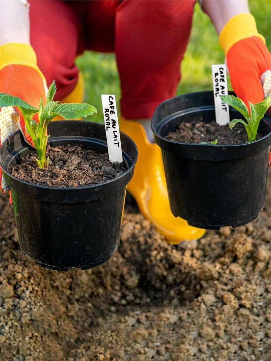 200个4英寸塑料植物标签,带记号笔,防水户外种子蔬菜园标签标记(白色) - A - 查看 1