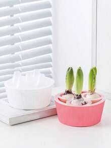 【多孔选择】水培花盆 - 专为郁金香球茎、风信子和水仙种子设计的三孔和五孔水培花盆，懒人花盆 - A - 查看 4