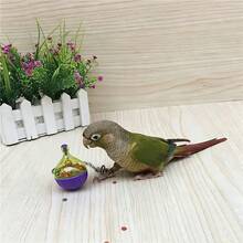 1个鹦鹉喂食器益智玩具，互动式鸟类喂食玩具，防溢食物分配器 - 鹦鹉觅食宠物玩具 - 查看 7