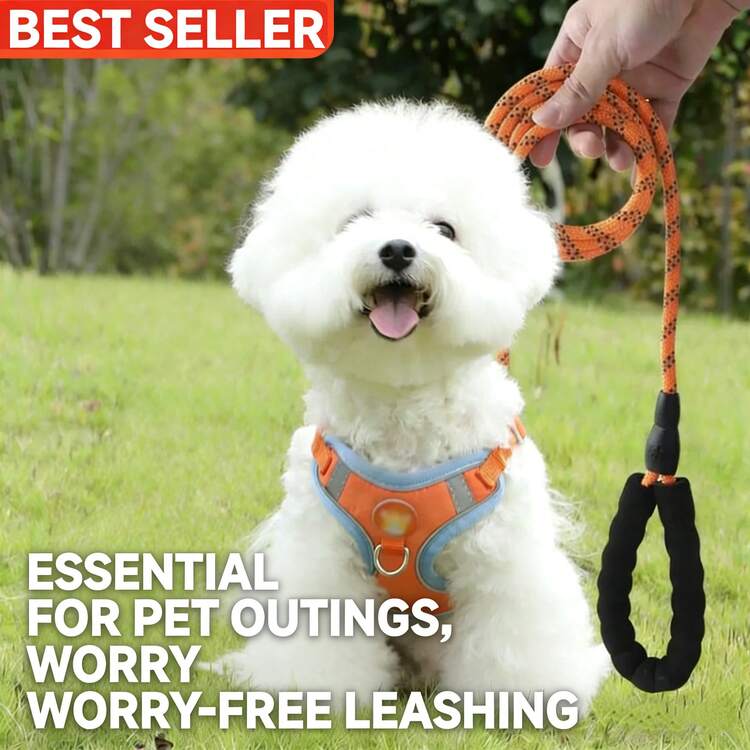 Comfortable Dog Harness Leash Set, Multi-Color Options, Suitable For Small & Medium Dogs, No-Choke Design (2M Reflective Dog Leash, Black Handle Ring) - Orange - View 1