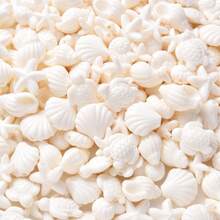 100pcs Ocean Theme Acrylic Beads, Summer Beach White Series Shell/Starfish/Turtle Shaped Beads, Suitable For DIY Clothing Decoration Accessories, Creative Handicrafts - White - View 6
