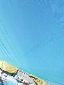 多用途防护网，适用于果园、家禽养殖、水产养殖、果树、温室、空中防护网、渔网、花园和农场攀援藤蔓防护网 - 205cm*1000cm - 查看 3