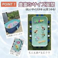Other Pool Supplies - D - View 3