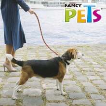 Fancy Pets Correa Berrydog Color Rojo para Perro - Blanco - Ver 1