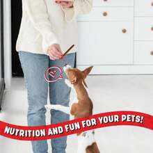 Powerpet 100% Natural Bully Stick - High Protein, Low Fat, Healthy Dog Treats, Long-Lasting Dog Chews, Easily Digestible, Cleans Teeth, Low Odor, for All Breeds &amp; Sizes, 6" - 10 Count - ColorA - Ver 7