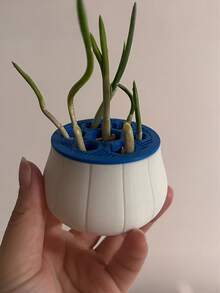 一套大蒜和韭菜水培再生套装，家用种植黑白盖套装，易于识别和重复使用。无土种植盒，操作简单，可连续收获。四季皆宜的可重复使用大蒜再生种植器。 - 均碼 - 查看 7