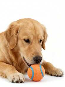 1 Stück elastischer Hundeball - reinigt Zähne, wasserdicht, geeignet für Training & Spiel, leuchtend orange & blau - für mittelgroße Hunde, Haustier Spielzeug, Hundekauknochen, Hundeballspielzeug, Haustier Sprungball, fester elastischer Ball, Spielzeug für kleine Hunde, strapazierfähiger Haustierball - Orange - Übersicht 9