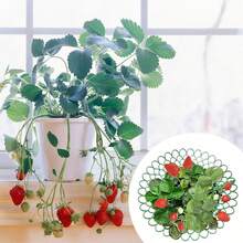 1/6 piezas Estantes de plantación de fresas verdes con tres patas robustas, marco de soporte para plantas de jardín, diseño de rejilla abierta para mejor drenaje, para plantas de fresas, para frutas y evitar la pudrición, práctico estante de almacenamiento para patio, un buen ayudante para la plantación - A - Ver 10