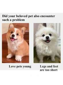 1件装狗狗楼梯，小型犬老年犬斜坡床边沙发宠物直角攀爬梯，宠物弧形楼梯狗狗攀爬梯家用小型犬沙发攀爬梯宠物斜坡楼梯多级攀爬梯 - 彩色 - 查看 6