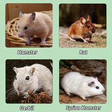 Hamster Silent Running Wheel, Wooden Exercise Wheel, Quiet Activity Wheel, Pet Toy, Suitable For Hamsters, Gerbils And Small Animals - Multicolor - View 2