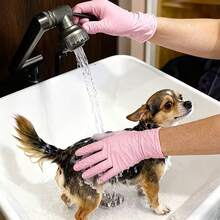 2/20/50/100只装 淡粉色一次性丁腈手套 | 非医用，不含乳胶，无粉，左右手通用，轻便，适用于清洁、宠物美容、美甲、浴室、家居等用途 - 淺粉紅色 - 查看 4