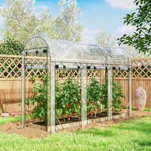 Agricultural Greenhouses - 透明的 - 查看 1