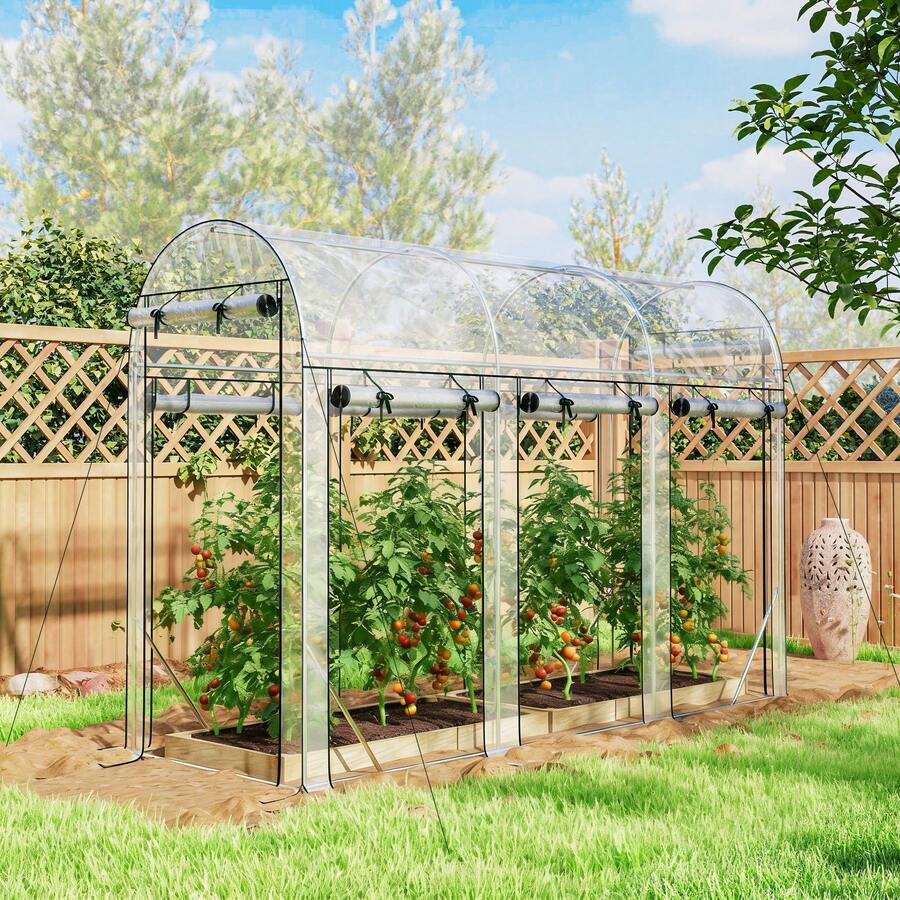 Agricultural Greenhouses - 透明的 - 查看 1