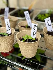 200个4英寸塑料植物标签，带记号笔，防水户外种子蔬菜园标签标记（白色） - A - 查看 2