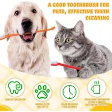 15 Pcs Dog Toothbrush Dual Headed Dental Brushes Puppy Tooth Brushing Kit Long Handle Toothbrush Large And Small Dogs Cats Most Pets Teeth Cleaning Oral Care Supplies Colorful - Colorful - View 7