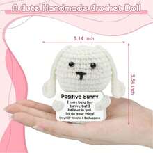 1个针织正能量兔子玩偶和一张印有“正能量兔子：我可能是只兔子，但我相信你”的卡片。去做你自己！保持跳跃的节奏，变得精彩！ - 彩色 - 查看 7