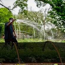 Esta malla de sombra para exteriores cuenta con un tejido de alta densidad que proporciona protección solar y frescura, ideal para pérgolas, balcones e invernaderos. Su diseño con hebillas de cobre facilita su fijación y su material transpirable evita la congestión. También es ideal para dar sombra a plantas y mascotas. Su suministro local en México garantiza una entrega rápida; incluye cuerdas para colgarla. - Negro - Ver 8