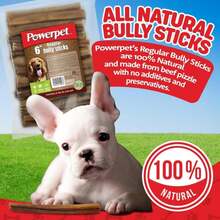 Powerpet 100% Natural Bully Stick - High Protein, Low Fat, Healthy Dog Treats, Long-Lasting Dog Chews, Easily Digestible, Cleans Teeth, Low Odor, for All Breeds &amp; Sizes, 6" - 25 Count - ColorB - Ver 2