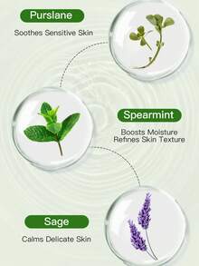 the SAEM 300毫升芦荟凝胶保湿睡眠面膜，天然库拉索橙味，男女皆宜 - Aloe Vera - 查看 4