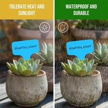 植物标签 200 个 T 型塑料花园标签 防水植物标志牌支架 苗圃花园标记器 适用于幼苗 花卉 蔬菜 香草 盆栽带 永久性记号笔（蓝色） - 藍色的 - 查看 4