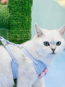 小型犬胸背带牵引绳，适合训练和遛玩具贵宾犬、比熊犬、博美犬和其他小型犬 - 粉色 - 查看 10