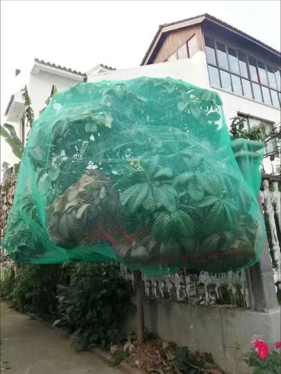 多用途防护网，适用于果园、家禽养殖、水产养殖、果树、温室、空中防护网、渔网、花园和农场攀援藤蔓防护网