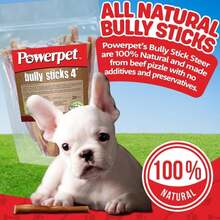 PowerPet Bully Sticks Naturales para Perros 4 u2013 50 Unidades | 100% Res, Premio Saludable Alto en Proteína, Bajo en Grasa, Larga Duración - Blanco - Ver 3