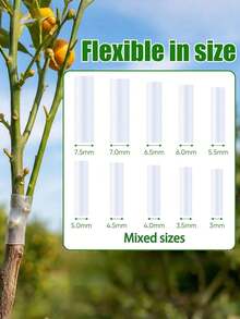 100 chiếc ống ghép cây, ống ghép silicon cho cây ăn quả, kẹp ghép linh hoạt 3-7.5mm, dụng cụ sửa chữa thân cây gãy cho cây ăn quả, cây trồng, hoa. - ống ghép - Xem 6