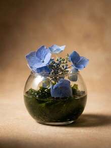 1Pc/3Pcs/6Pcs Clear Glass Moss Bowl/Bowls, Commercial Display Style For Boutique Retail Showcase, Florist Shop Window Display, Gift Shop Shelf, Art Gallery Lifestyle Exhibit, Hotel Lobby Decor, Hotel Room Amenity, Spa Lounge Arrangement, Tea House Decor, Cafe Table Accent, Restaurant Dining Table, Corporate Reception Area, Co-Working Space Decor, Trade Show Booth Display, Wedding Venue Decoration, Event Hall Styling, Bakery Shop Display, Bookstore Corner Decor, Beauty Salon Waiting Area. - Multiple Styles - View 4