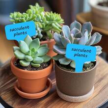 植物标签 200 个 T 型塑料花园标签 防水植物标志牌支架 苗圃花园标记器 适用于幼苗 花卉 蔬菜 香草 盆栽带 永久性记号笔（蓝色） - 藍色的 - 查看 6