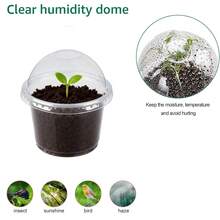 Genomskinliga 10 cm plantskrukor med fuktkupoler, 26 set med fröstartkrukor och lock, mångsidiga små växtbehållare för hem och trädgård - 26 uppsättningar - Visa 5