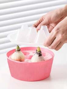 【多孔选择】水培花盆 - 专为郁金香球茎、风信子和水仙种子设计的三孔和五孔水培花盆，懒人花盆 - A - 查看 5