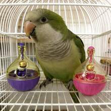 1个鹦鹉喂食器益智玩具，互动式鸟类喂食玩具，防溢食物分配器 - 鹦鹉觅食宠物玩具 - 查看 5