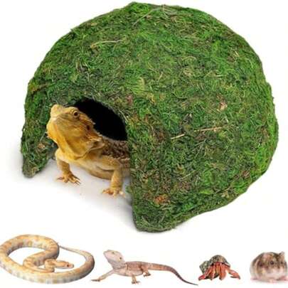 爬行动物苔藓藏身处，半圆形爬行动物洞穴，苔藓覆盖的庇护所，确保蜥蜴、蛇、青蛙和啮齿动物等爬行动物的安全和舒适。