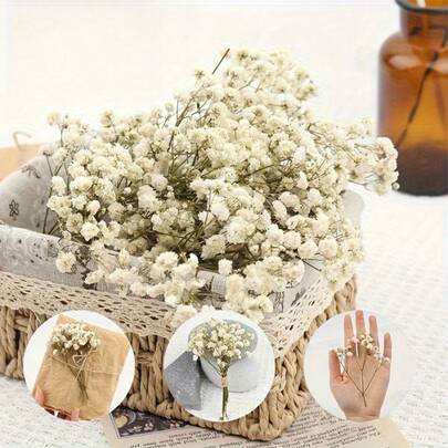 55/100pcs Artificial Baby's Breath Flowers With Green Stems - Realistic Desktop Decor, Suitable For Weddings, DIY - Low Maintenance Fake Flowers For Christmas, Valentine's Day, Anniversary - (Vase Not Included)