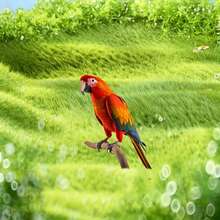 2D Acrylic Red Parrot Garden Stake, Outdoor Yard Art Lawn Decor, Home Scene Accent Ground Stake - B - View 2