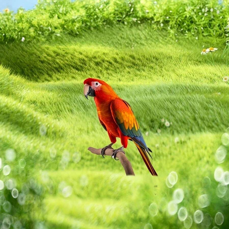 2D Acrylic Red Parrot Garden Stake, Outdoor Yard Art Lawn Decor, Home Scene Accent Ground Stake