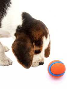 1 Stück elastischer Hundeball - reinigt Zähne, wasserdicht, geeignet für Training & Spiel, leuchtend orange & blau - für mittelgroße Hunde, Haustier Spielzeug, Hundekauknochen, Hundeballspielzeug, Haustier Sprungball, fester elastischer Ball, Spielzeug für kleine Hunde, strapazierfähiger Haustierball - Orange - Übersicht 6