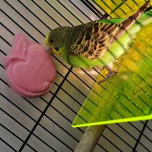 复活节鸟玩具，跨境热销矿物鹦鹉磨牙玩具，苹果形小型宠物指甲磨刀器及磨牙玩具 - 查看 4