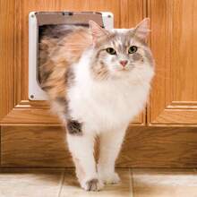PetSafe Interior 2-Way Locking Cat Door - Allows Convenient Movement Between Rooms &amp; Minimizes Scratching - Tinted Durable Plastic Privacy Door for Feeder &amp; Litter Box - ColorA - Ver 2