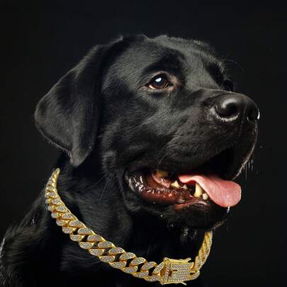 1 pieza Collar de mascota de moda con diamantes artificiales incrustados, collar de mascota brillante, collar de perro, collar de perro genial, correa para perro pequeño, accesorio de cadena decorativa para mascotas, adecuado para perros y gatos pequeños, medianos y grandes para uso diario y fiestas, una excelente opción para regalos de cumpleaños de mascotas