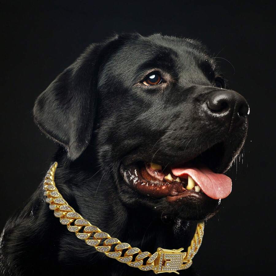 1件时尚宠物项链，镶嵌人造钻石，闪亮宠物项链，狗狗项链，酷炫狗狗项圈，小型犬牵引绳，宠物装饰链配件，适合小型、中型和大型犬猫日常佩戴和参加派对，是宠物生日礼物的绝佳选择。