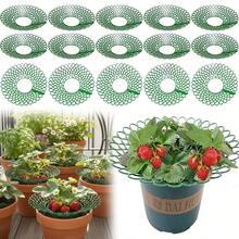 1/6 piezas Estantes de plantación de fresas verdes con tres patas robustas, marco de soporte para plantas de jardín, diseño de rejilla abierta para mejor drenaje, para plantas de fresas, para frutas y evitar la pudrición, práctico estante de almacenamiento para patio, un buen ayudante para la plantación - A - Ver 11
