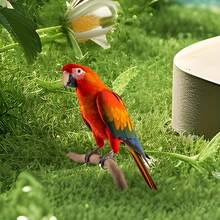 2D Acrylic Red Parrot Garden Stake, Outdoor Yard Art Lawn Decor, Home Scene Accent Ground Stake - B - View 4