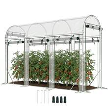 Agricultural Greenhouses - 透明的 - 查看 11