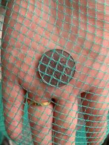 多用途防护网，适用于果园、家禽养殖场、水产养殖场、果树、温室、空中防护网、渔网、花园和农场攀爬网 - 305cm*300cm - 查看 2