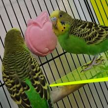 复活节鸟玩具，跨境热销矿物鹦鹉磨牙玩具，苹果形小型宠物指甲磨刀器及磨牙玩具 - 查看 7